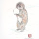 Snow monkey