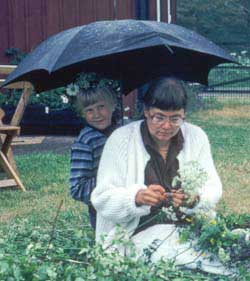 Midsommar på Öland