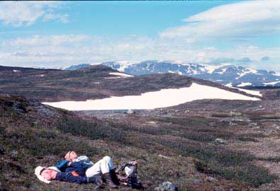 Slummer på Hardangervidda