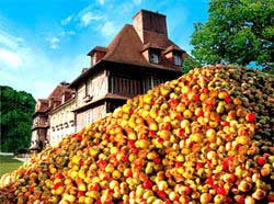 Mont des pommes