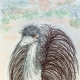 emu1