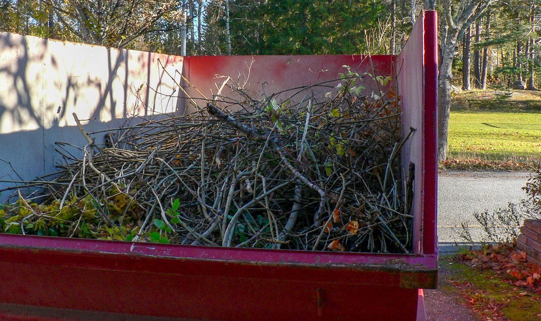 Garden pruning