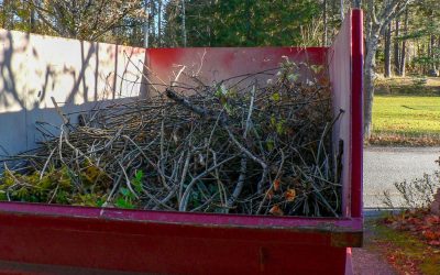 Garden pruning