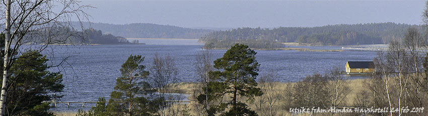 Almåsa