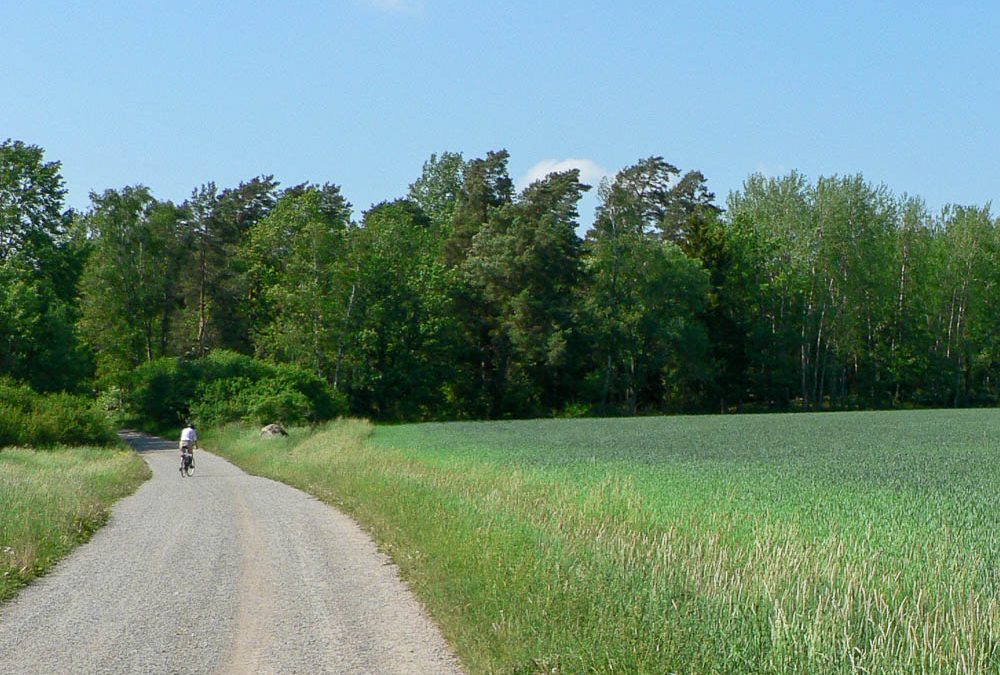 Cykla på Järvafältet