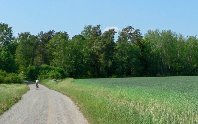 Cykla på Järvafältet